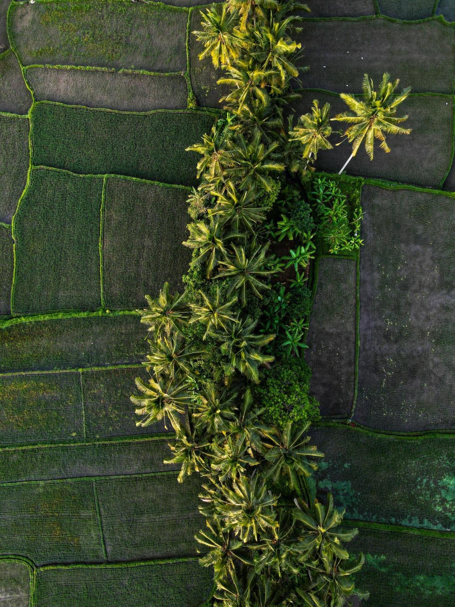 Ayu Duwur Beji Hotell Ubud Exteriör bild